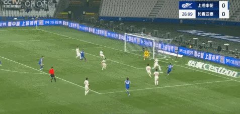 IMG_8265.gif
