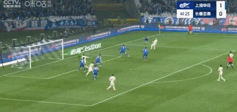 IMG_8266.gif